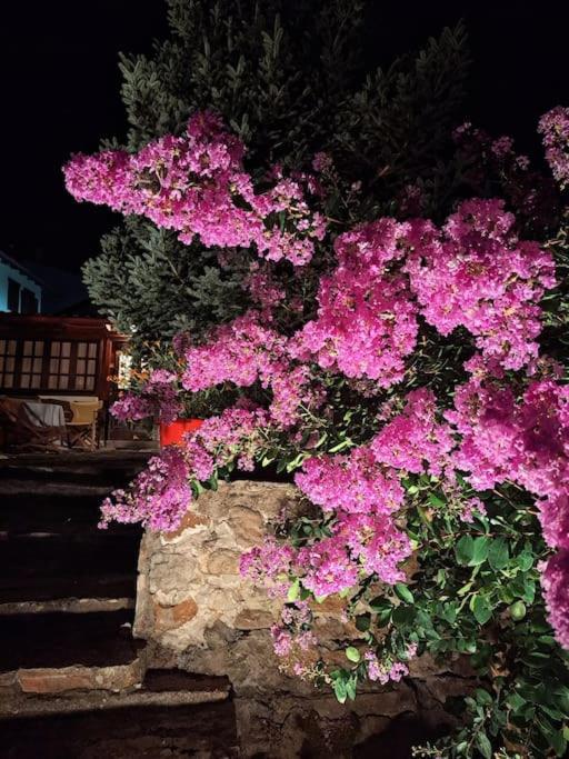 Panthea Cottage Stavroúpolis Exterior foto