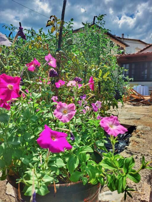 Panthea Cottage Stavroúpolis Exterior foto